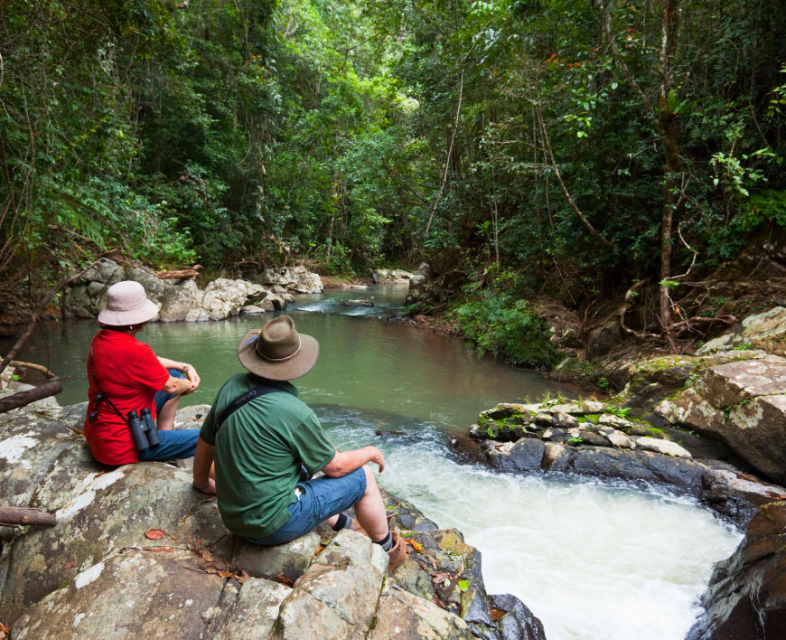 Running Creek near Rose Gums