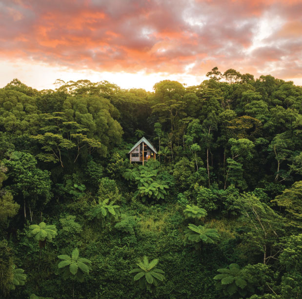 Treehouse at Rose Gums